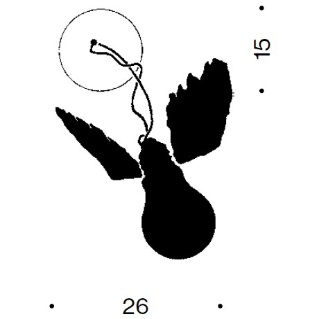 Lucellino NT Ceiling/Wall Dimensions
