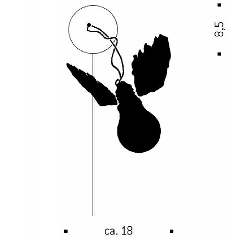 Lucellino Wall Dimensions