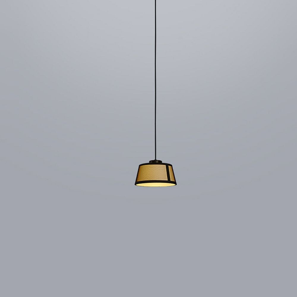 Lilly Suspension